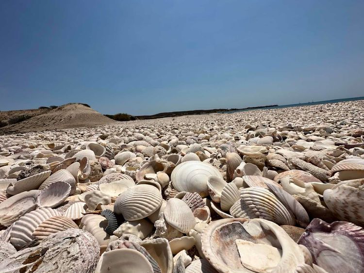 Voyage photo from Punta Chivato to Isla San Marcos