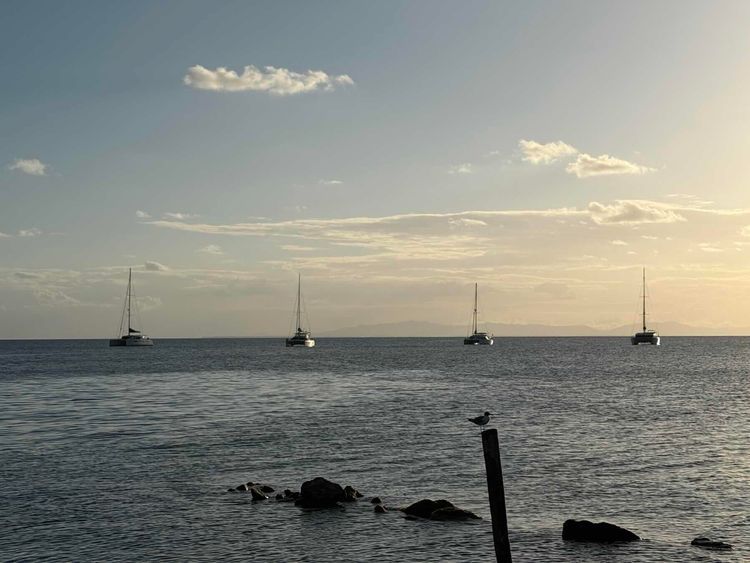 Voyage photo from Placencia to Thatch Caye, Belize