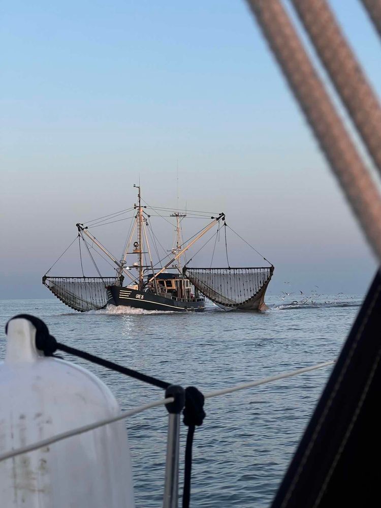 Voyage photo from Across the Wadden Sea. Passage 10