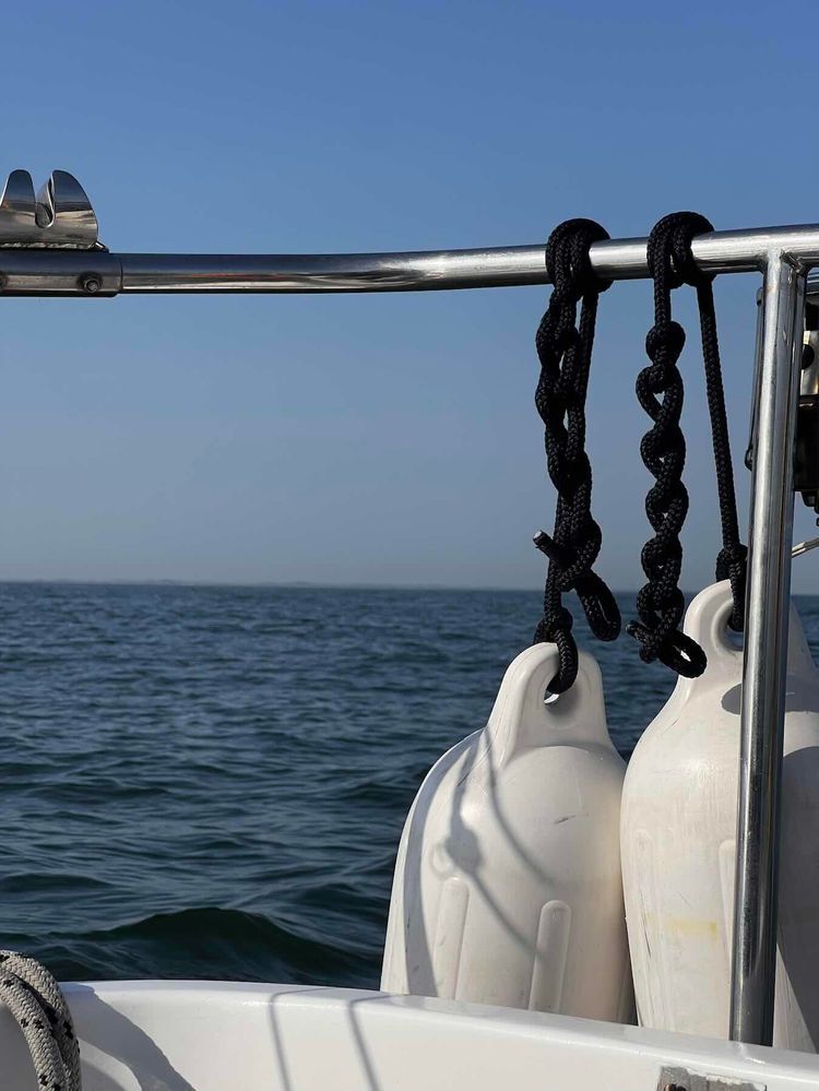 Voyage photo from Across the Wadden Sea. Passage 10
