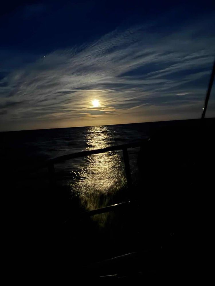 Voyage photo from Skirr Adventures
Reykjavik to Portsmouth