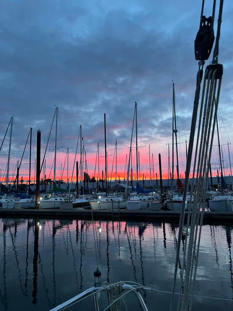 Voyage photo from Afternoon Post-Thanksgiving Sail