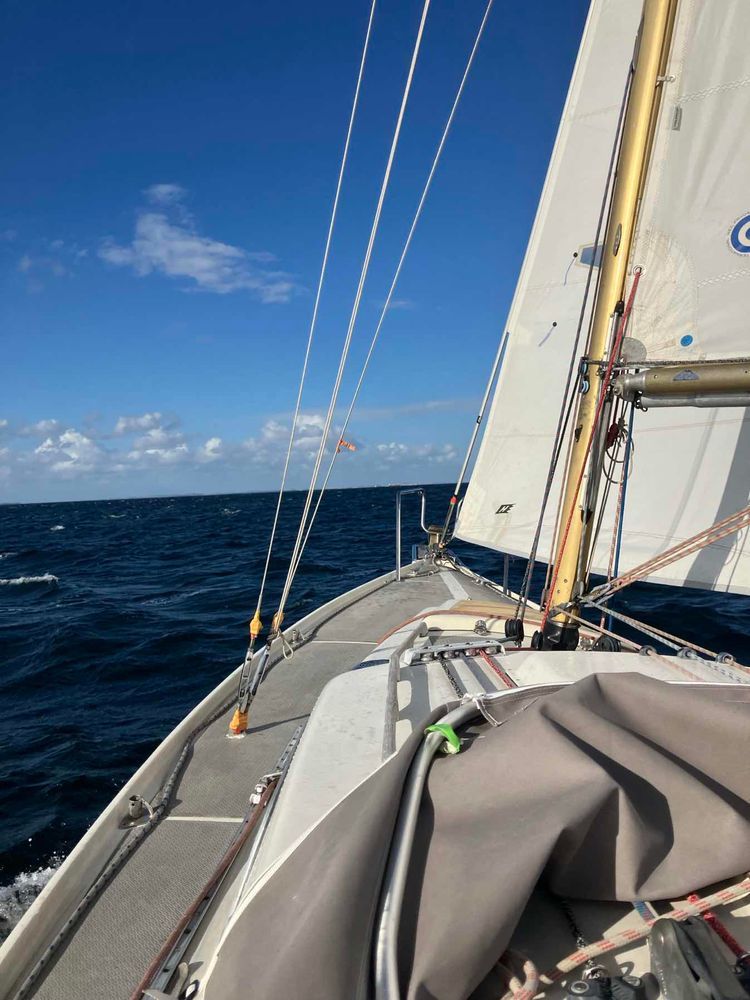 Voyage photo from Øresund evening with Jens and Mads