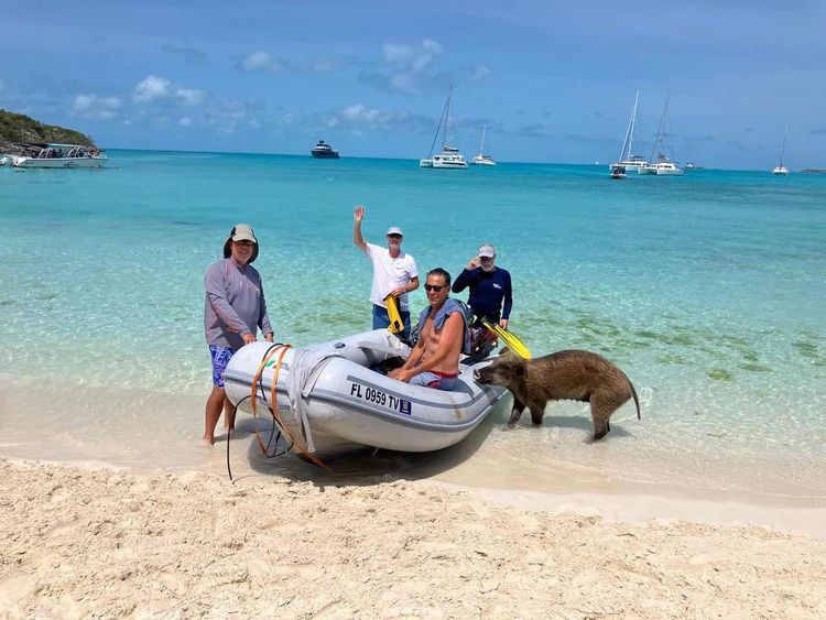 Voyage photo from Exumas may 2025 