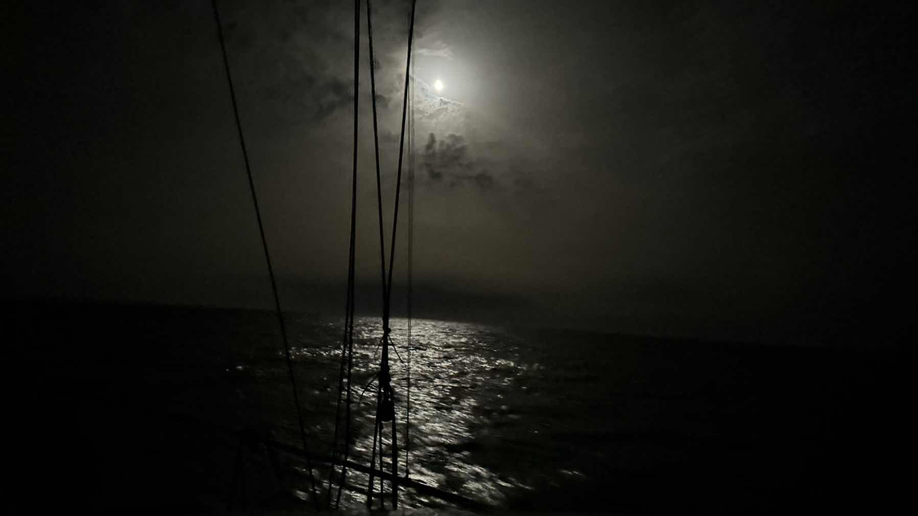 Voyage_65A9D35B-ADED-4CC8-A927-2065F0EF340E