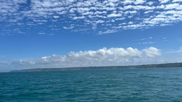Voyage photo from A slow downwind sail against the tide