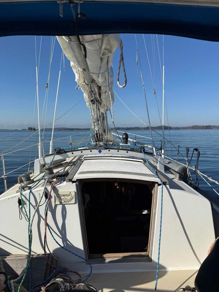 Voyage photo from Lane Lanier Sailing Clun on Cerina