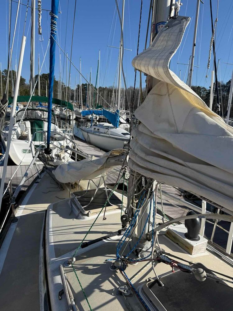 Voyage photo from Lane Lanier Sailing Clun on Cerina