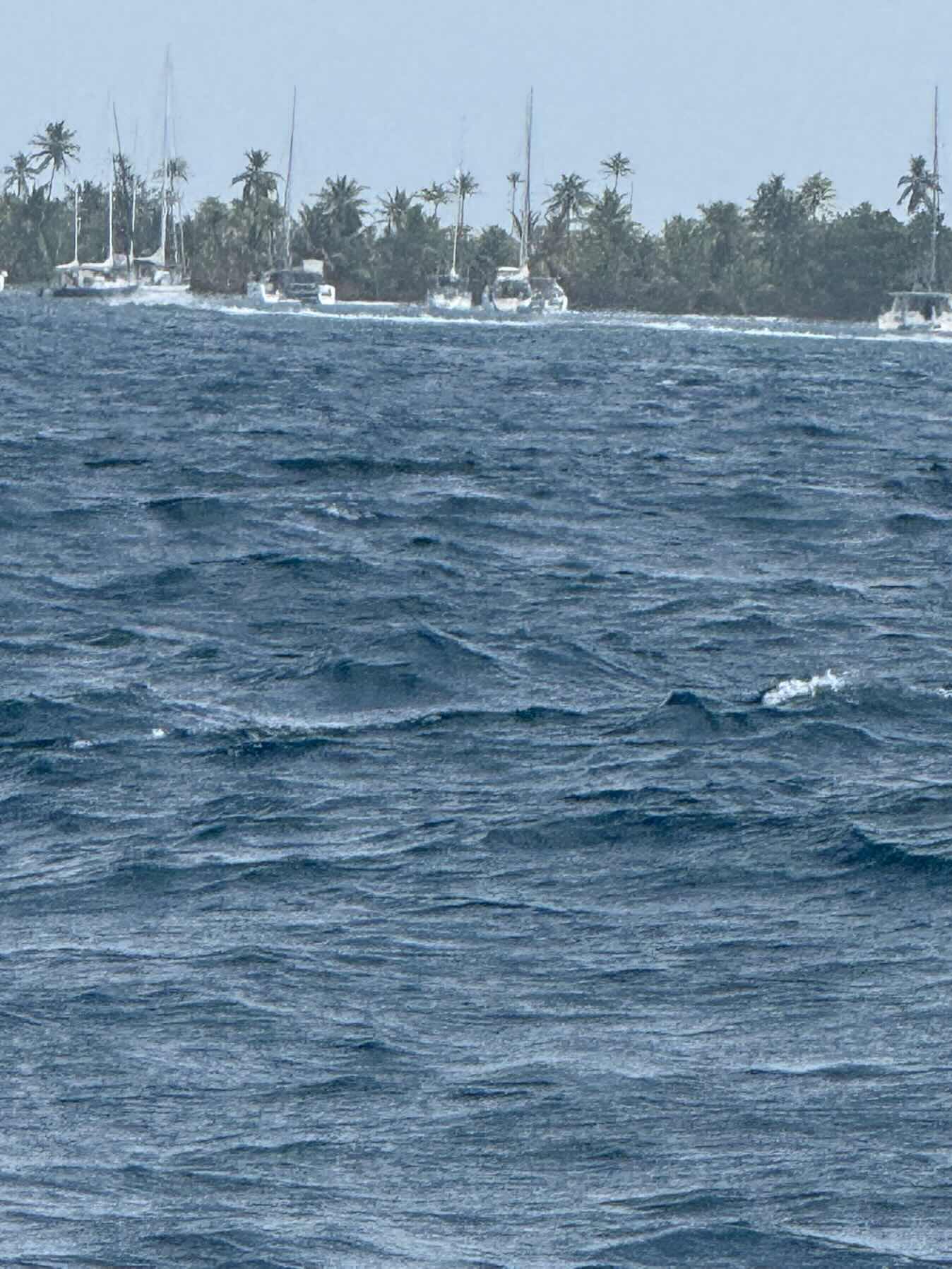 Green to Swimming Pool, San Blas_5FFCF300-8076-4534-A869-95F8C0F9DC7E