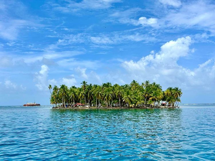 Voyage photo from Lemons to Swimming Pool