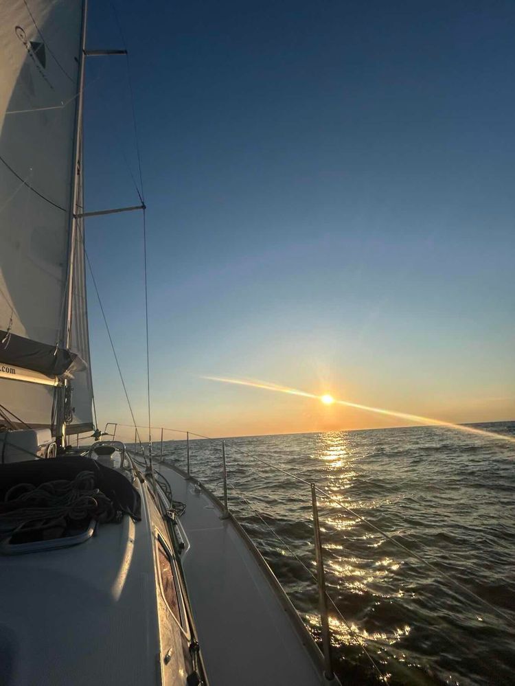 Voyage photo from Channel Islands Day 3