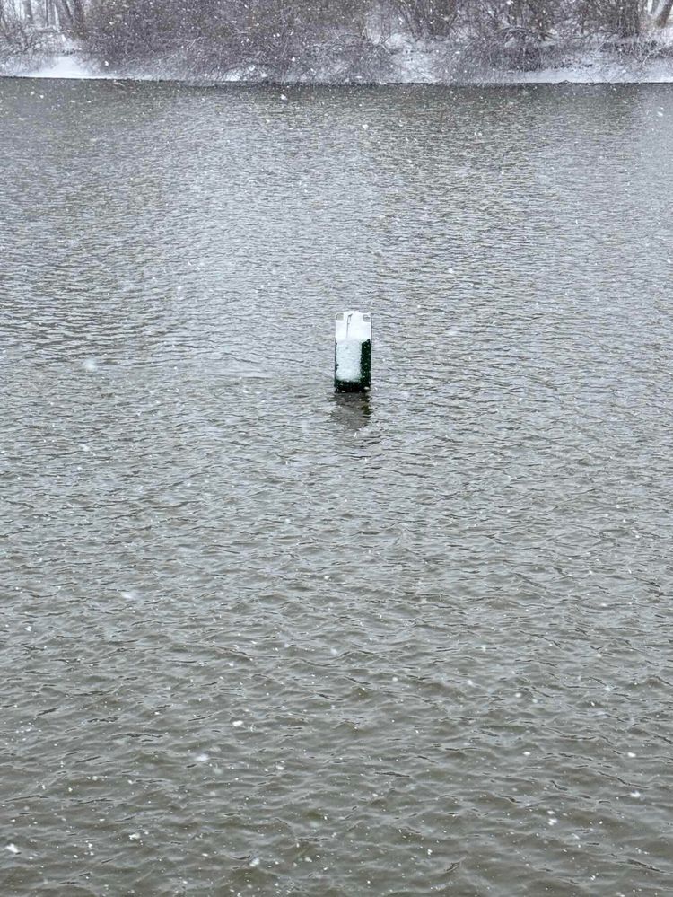 Voyage photo from Snow day. 