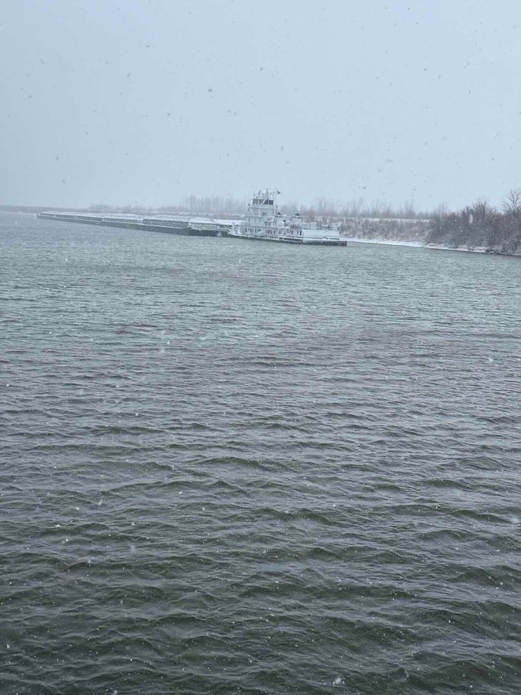 Voyage photo from Snow day. 