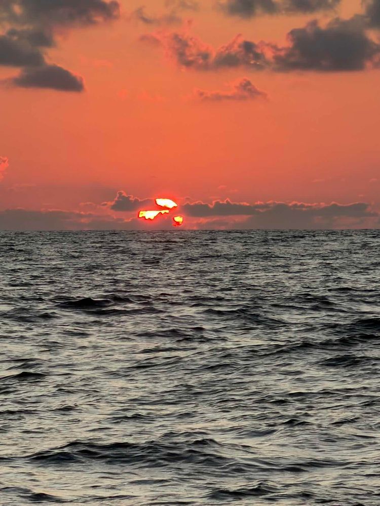Voyage photo from Vasco 2026