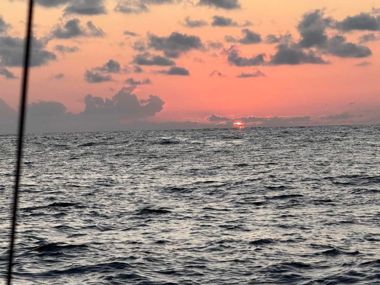 Voyage photo from Vasco 2026