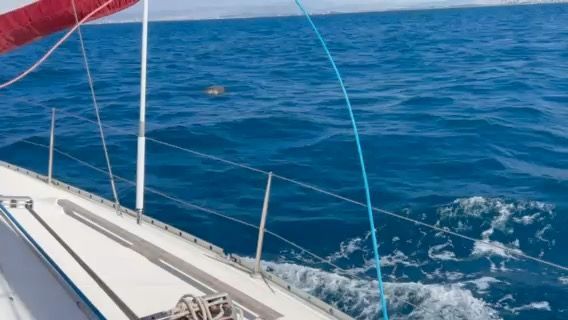 Voyage photo from Acre to Haifa