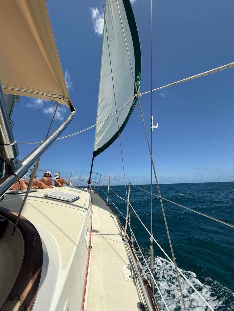 Voyage photo from Fury Charters Day Sail