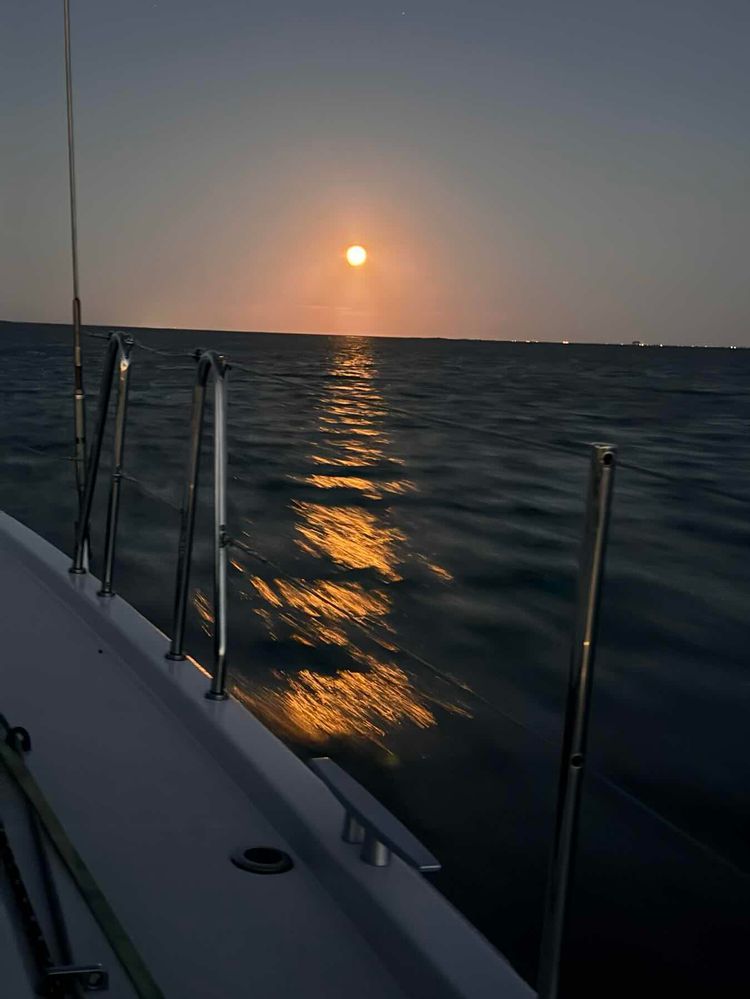 Voyage photo from Matagorda to Moody Gardens