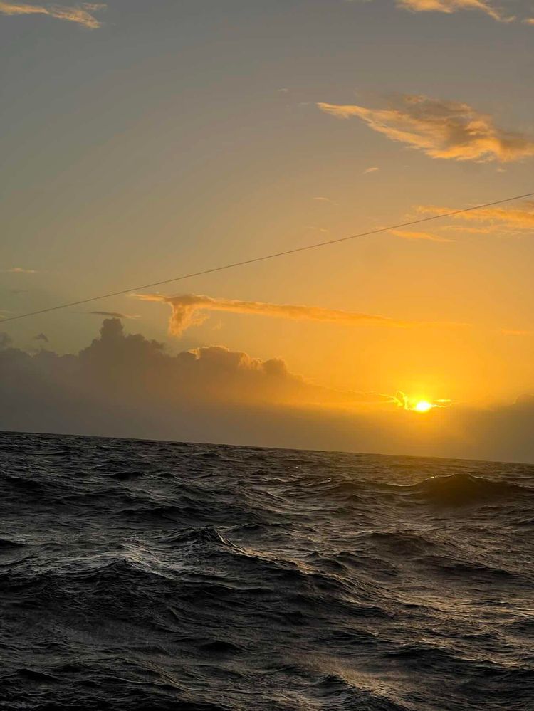 Voyage photo from Transat Delivery