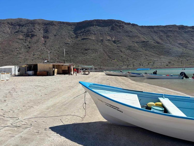 Voyage photo from 2026 SOC Flotilla