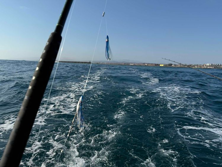 Voyage photo from Summer Night Cruise