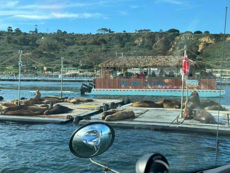 Voyage photo from Emb1 with Jewels on 664