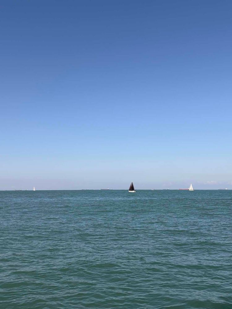 Voyage photo from Travessia ilha dos arvoredos