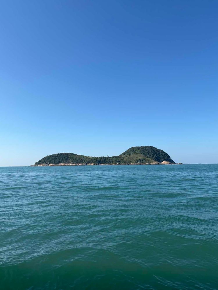 Voyage photo from Travessia ilha dos arvoredos
