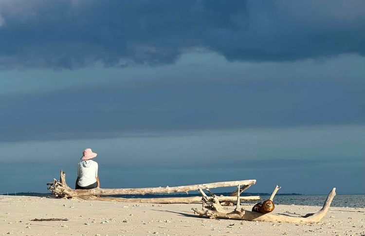 Voyage photo from Through the cut….