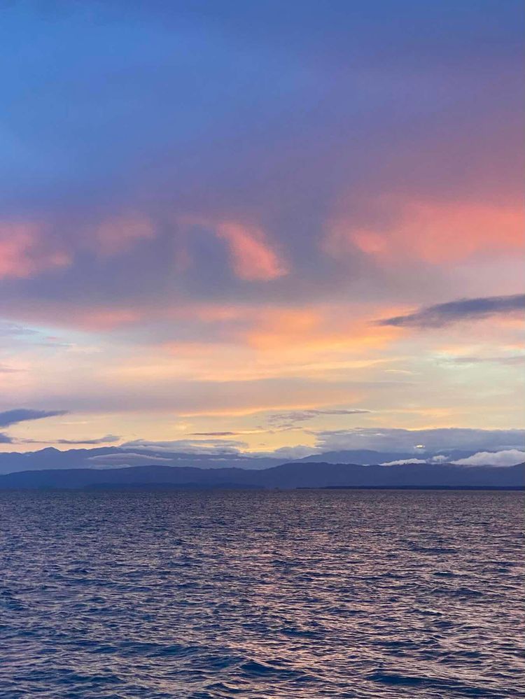 Voyage photo from Starfish Beach to Dolphin Bay Anchorage Bocas del Toro PA