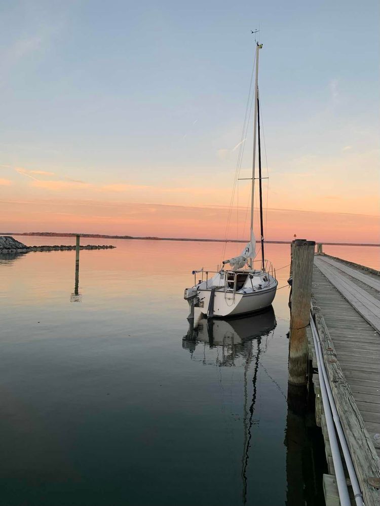 Voyage photo from Voyage home 