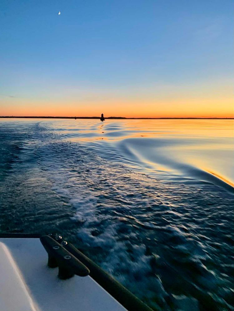 Voyage photo from Voyage home 