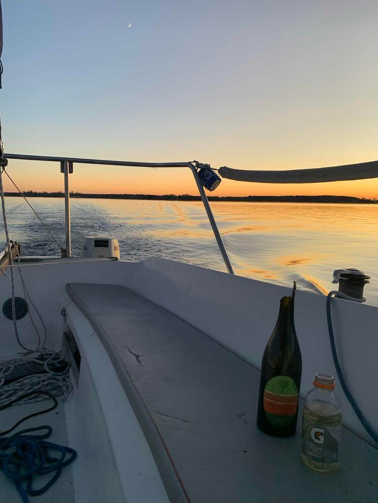 Voyage photo from Voyage home 