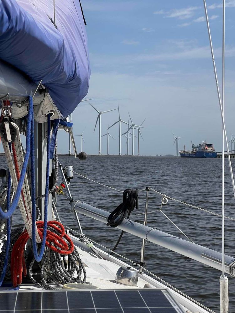 Voyage photo from Across the Wadden Sea. Passage 9
