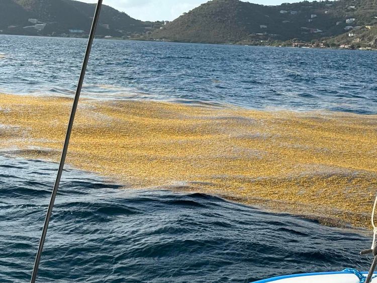 Voyage photo from BVI check in and Tacking to Norman Island