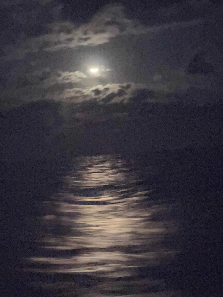 Voyage photo from Canal de los Barcos, Cuba to Key West, FL