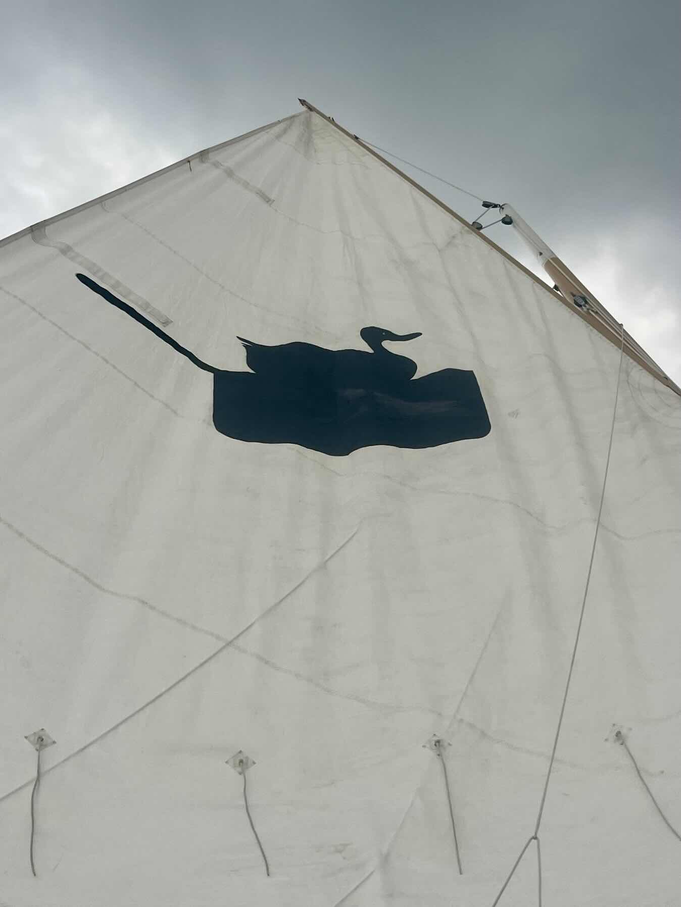 Rainy summer ladies sail _88BAC6B7-1D91-4A4E-9BB2-DB5C9902DED5