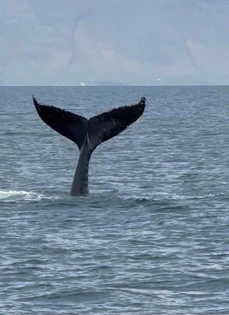 Voyage photo from Greenland before Trump…Leg 2