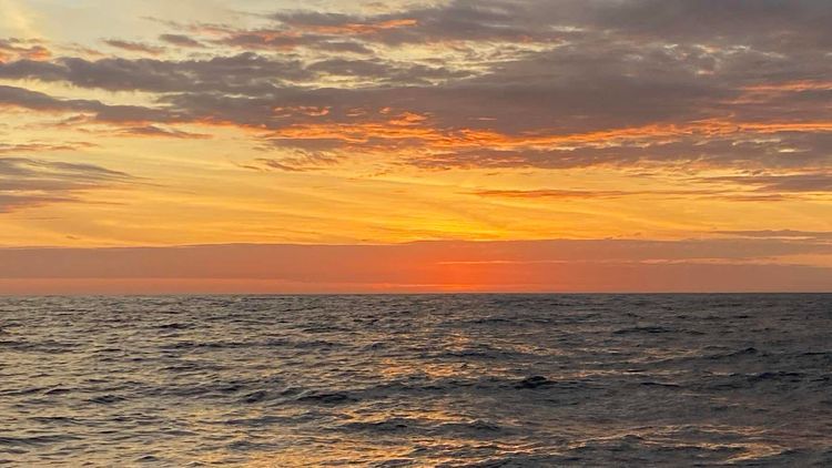 Voyage photo from Delivery LL Beastie, 2019 N63 La Paz to Ensenada, B.C.