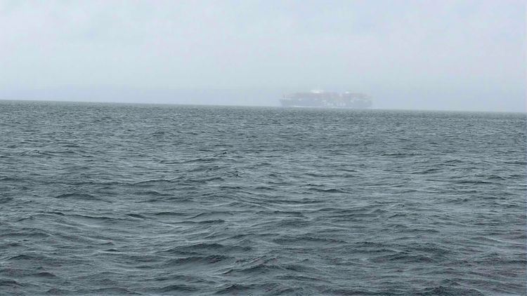 Voyage photo from Sailing between the gusts