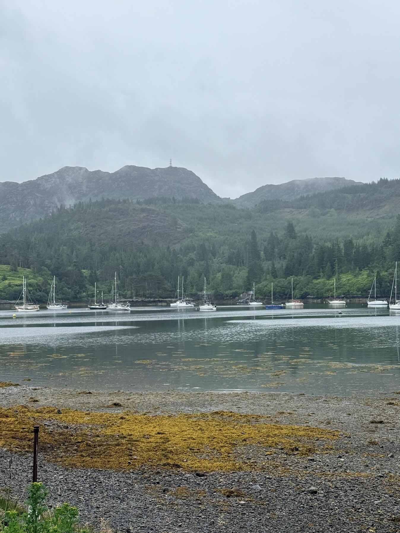 Oh na h’Acairseid to Plockton_35B8B370-A409-47EB-9914-56884825CD6F