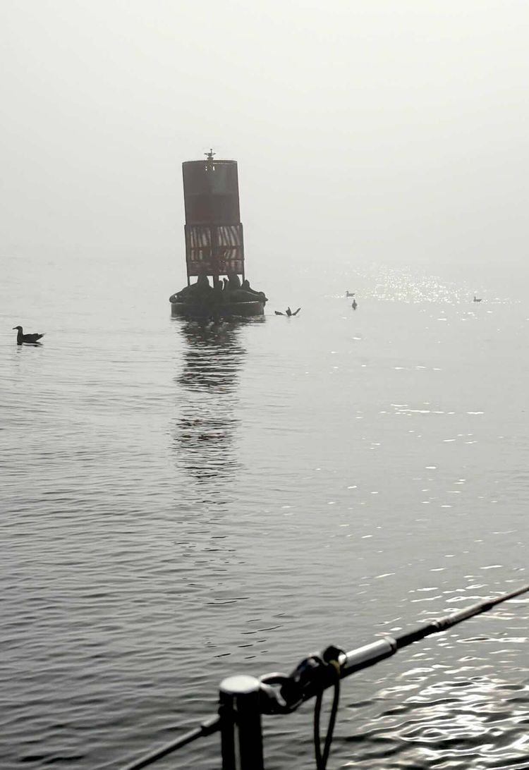 Voyage photo from ASA104 - cruise to Catalina