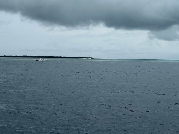 Voyage photo from Blue Hole to Long Cay, Belize