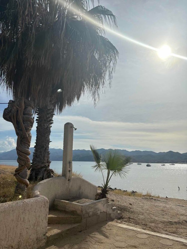 Voyage photo from Bahia Frailes to Bahia Muertos