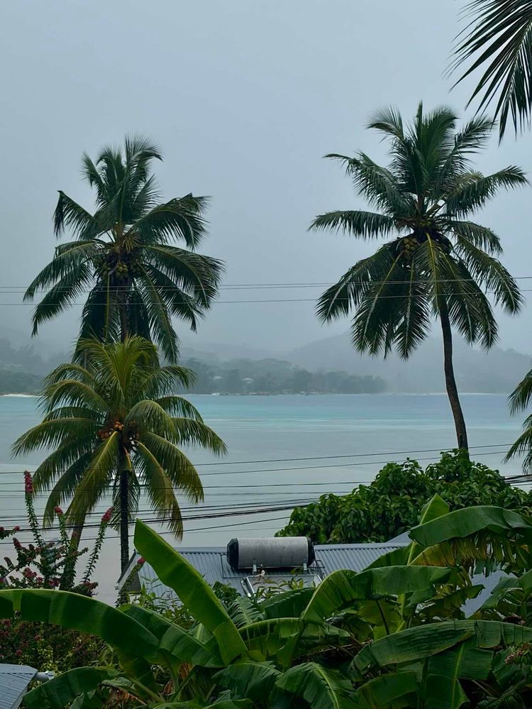 Voyage photo from Praslin