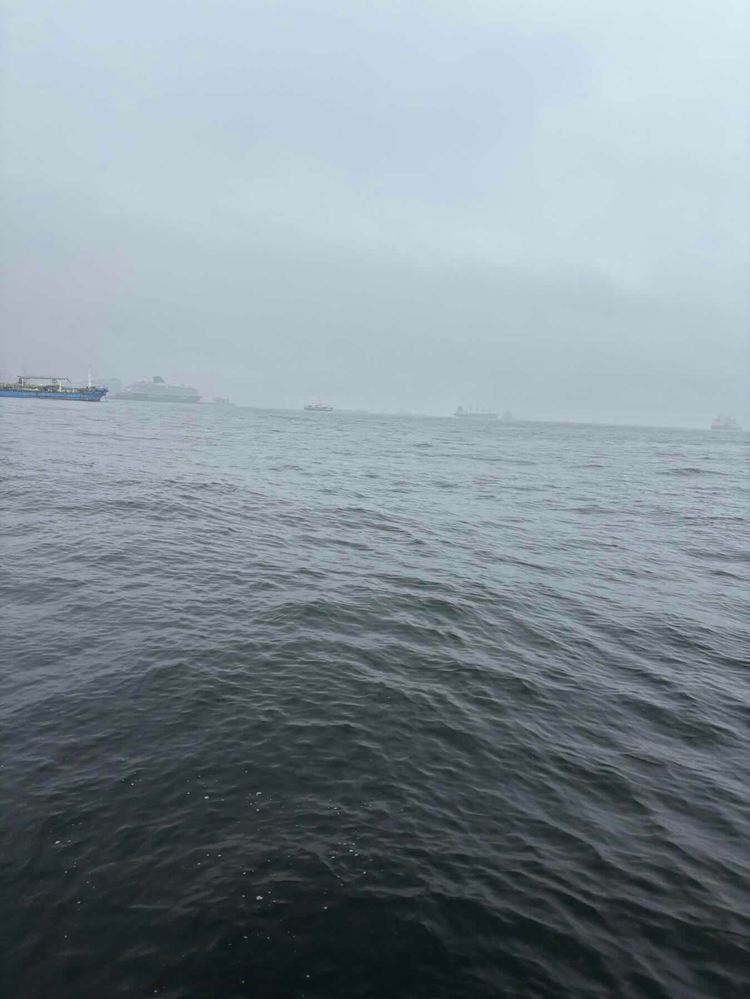 Voyage photo from Bay of gib 