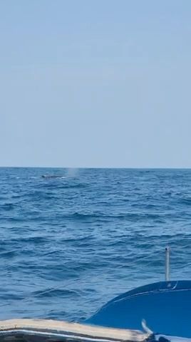 Voyage photo from Women’s day race