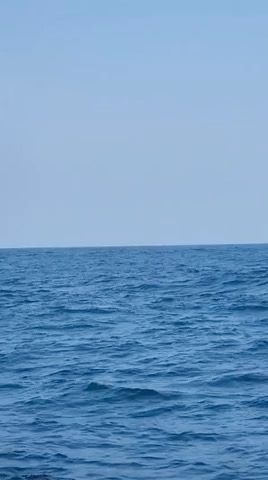 Voyage photo from Women’s day race