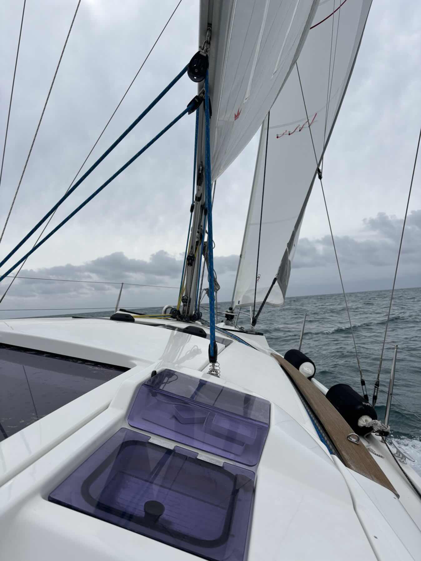 Quick sail w Reid_F459D80C-F193-4834-BEE4-85E2BF57A750