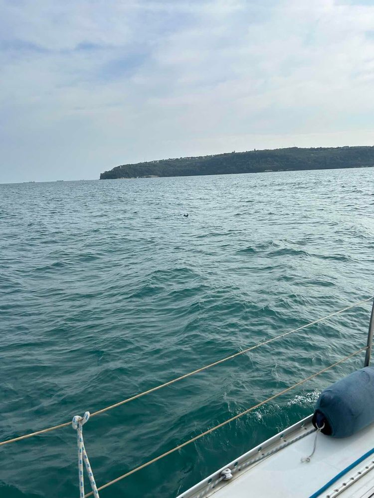 Voyage photo from Sail training session